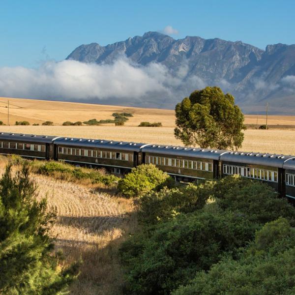 Intimate South Africa Tour with Luxury Rovos Rail Journey & All-Inclusive Safari by Luxury Escapes Tours 1