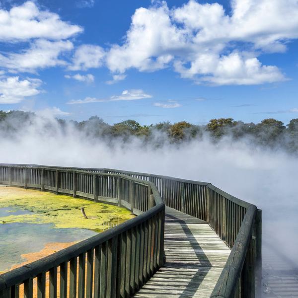 New Zealand 10-Day North to South Highlights with Waitomo Glowworm Caves & Marlborough Wine Tasting by  2