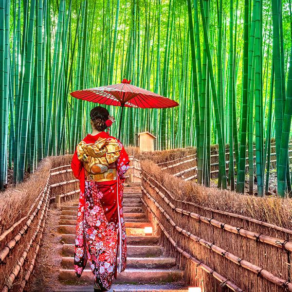 Deluxe 7-Day Japan Highlights with Tokyo, Kyoto & Osaka by  1