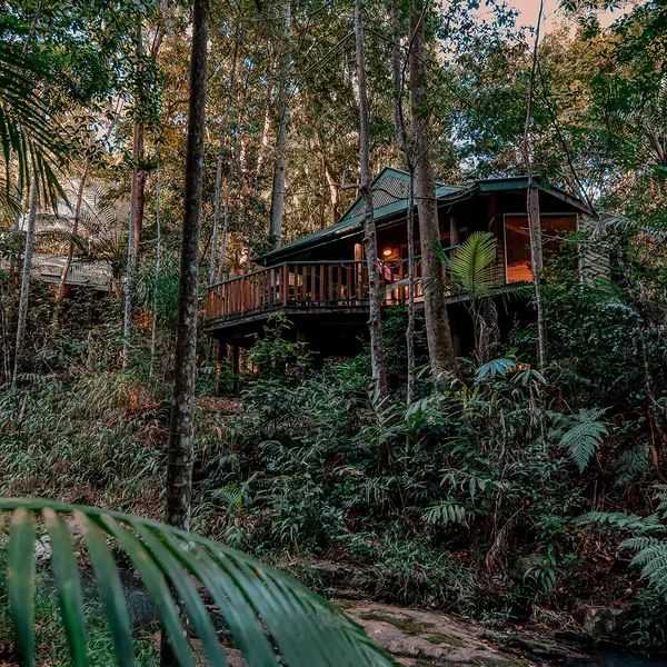 Narrows Escape Rainforest Retreat, Sunshine Coast, Queensland 1