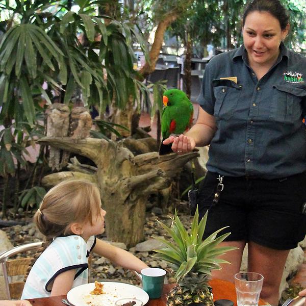 Admission to Award-Winning Australian Wildlife Habitat Sanctuary in Port Douglas 5