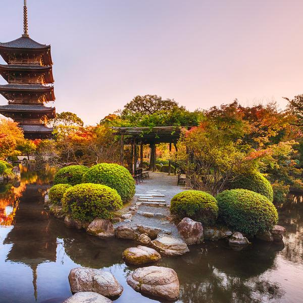 Signature Series: 7-Day Japan Exclusive Tour through Tokyo, Kyoto & Osaka with Khanh Ong by  3