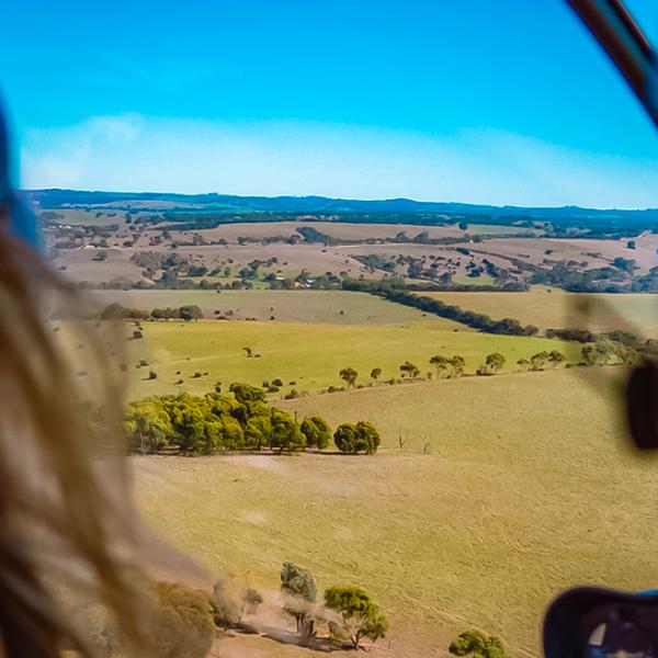 Adelaide: Romantic Helicopter Flight to Mystery Location & Picnic with Cheese Board & Wine  6