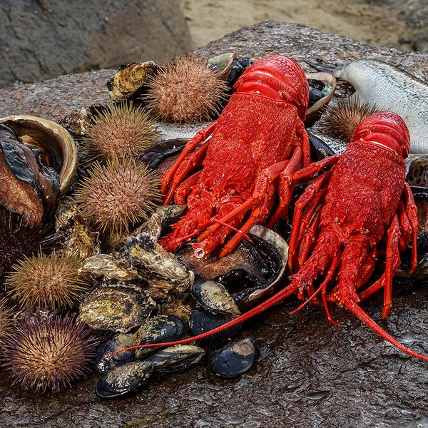 Tasmania: Full-Day Seafood Cruise with Freshly Caught Wild Abalone, Gourmet Lunch & Drinks 3