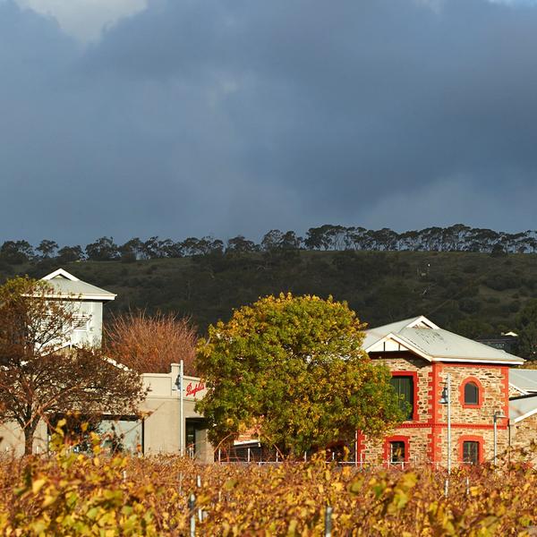 One-Hour Penfolds Magill Estate Heritage Tour & Wine Tasting in Cellar Door 1
