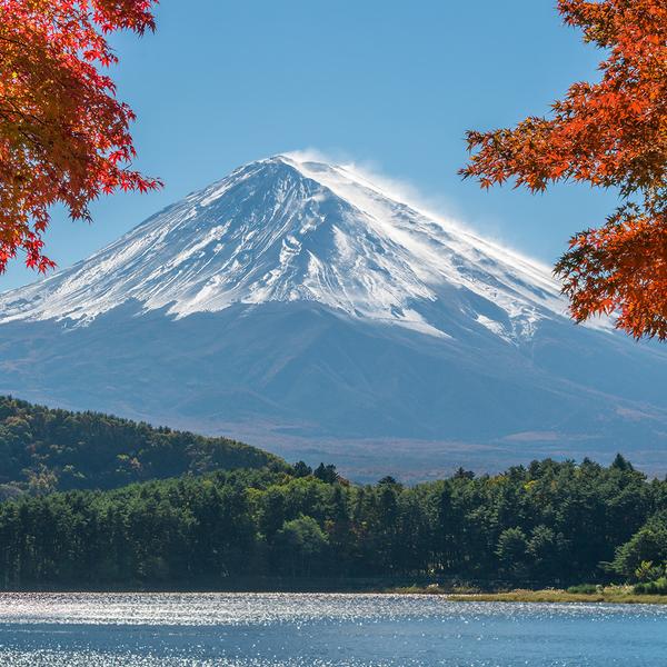 Deluxe 15-Day Best of Japan 2026 with Tokyo, Hiroshima & Osaka  by  6