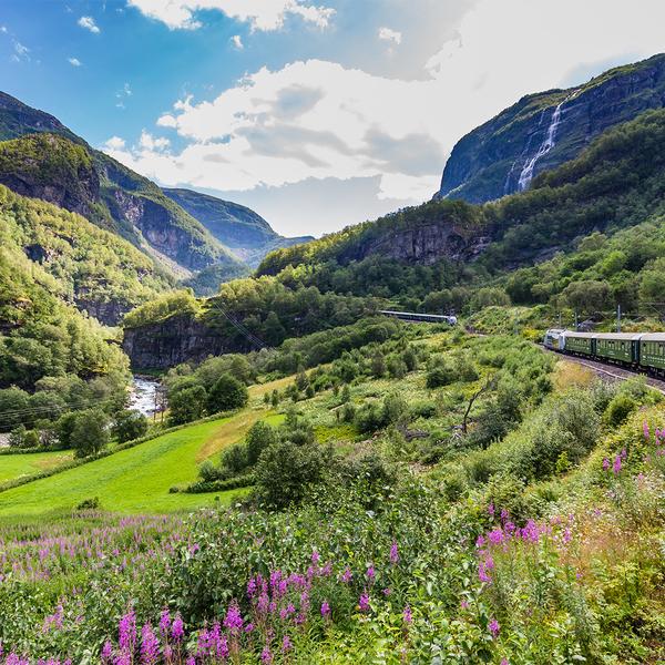 Scandinavia Capitals & Fjords Discovery with Flam Railway Journey  by Luxury Escapes Tours 7