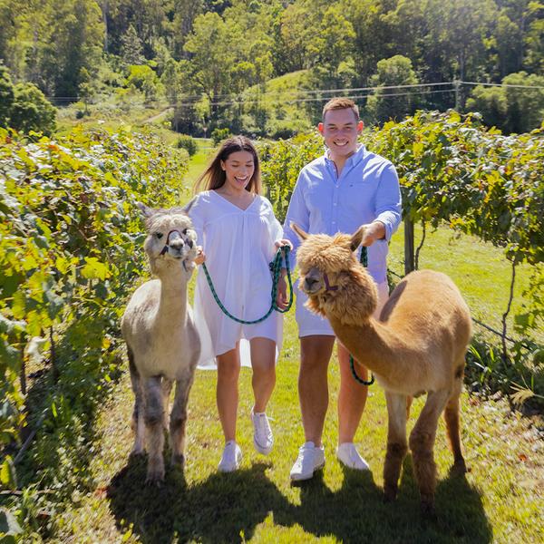 Six-Hour Gold Coast Ballooning & Jetboating Adventure with Vineyard Breakfast 7