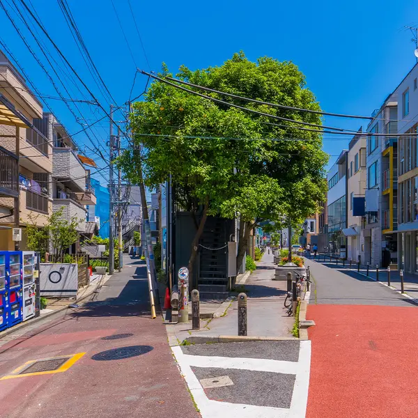 Hotel Indigo Tokyo Shibuya , Tokyo, Japan 4