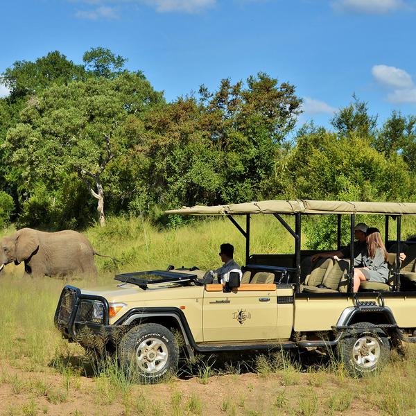 Southern Africa Safari with Five-Star Kruger Lodge Stay & Victoria Falls Sunset Cruise by Luxury Escapes Tours 2