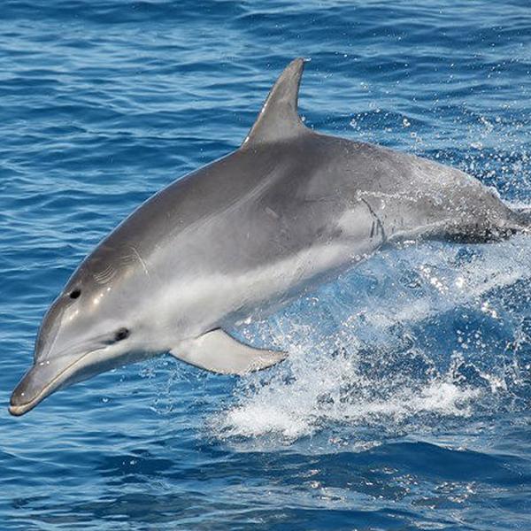 Full-Day K'gari (Fraser Island) Cruise with Return Hotel Transfers & Buffet Lunch  8