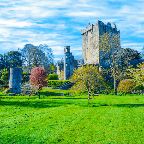 Ireland Highlights Tour with Giant's Causeway & Blarney Castle by Luxury Escapes Trusted Partner Tours 5