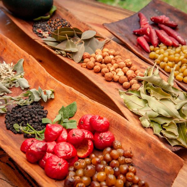 One-Hour Bush Tucker Tasting & Talk from Noongar Elder 1