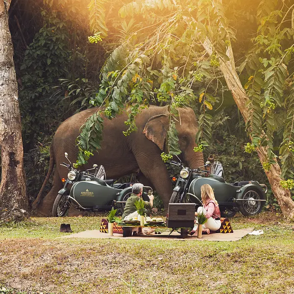 Anantara Golden Triangle Elephant Camp & Resort, Chiang Rai, Thailand 7