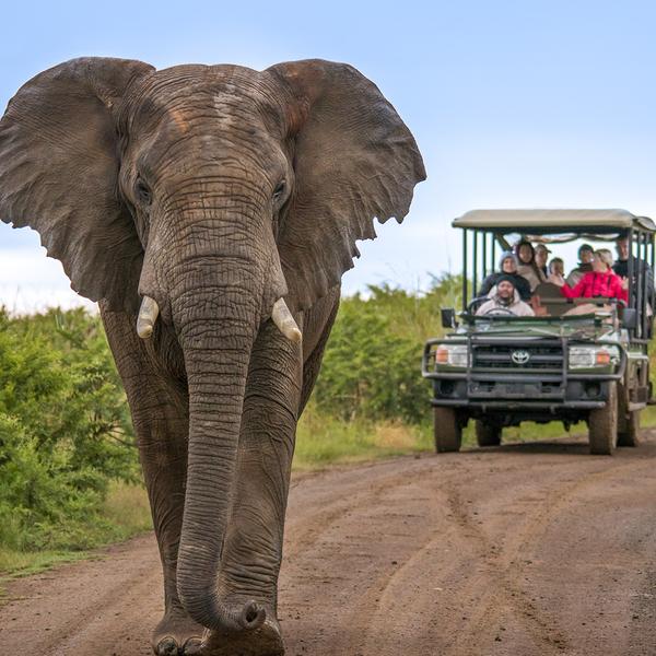 Limited Time Offer: Private 15-Day South Africa, Zimbabwe & Botswana Tour with BONUS Victoria Falls Helicopter Flight by  1