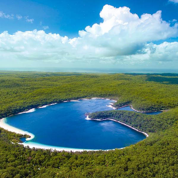 Rainbow Beach: Full-Day 4WD Coach Tour of K'gari (Fraser Island) with Lake McKenzie, 75 Mile Beach, Eli Creek, Lunch & Ferry Transfers 2