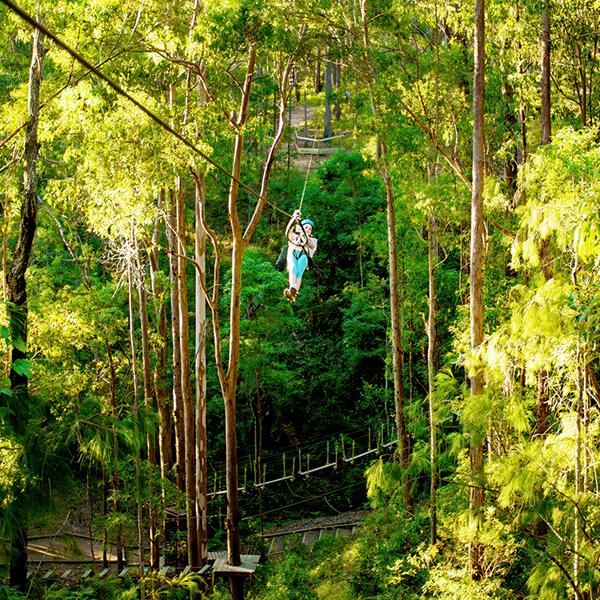 Take on Zipline & High Ropes Courses at The TreeTop Challenge at Thunderbird Park 8