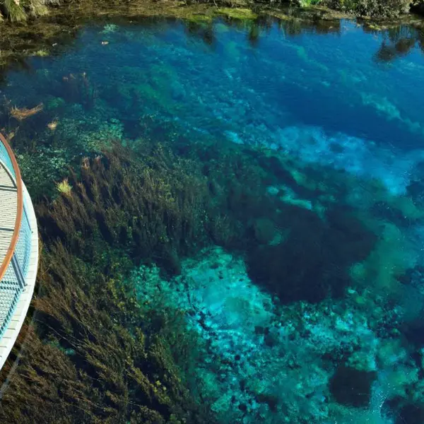 Drift Off Grid, Golden Bay, New Zealand 4