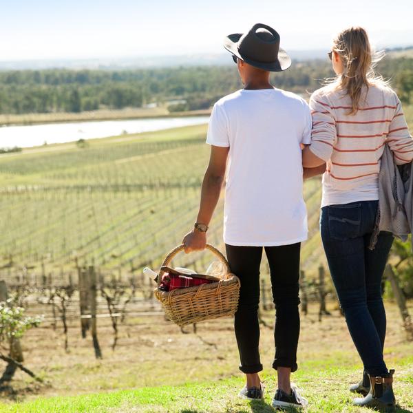 Picnic Among The Vines in Pokolbin with Wine Masterclass & Premium Tasting 2