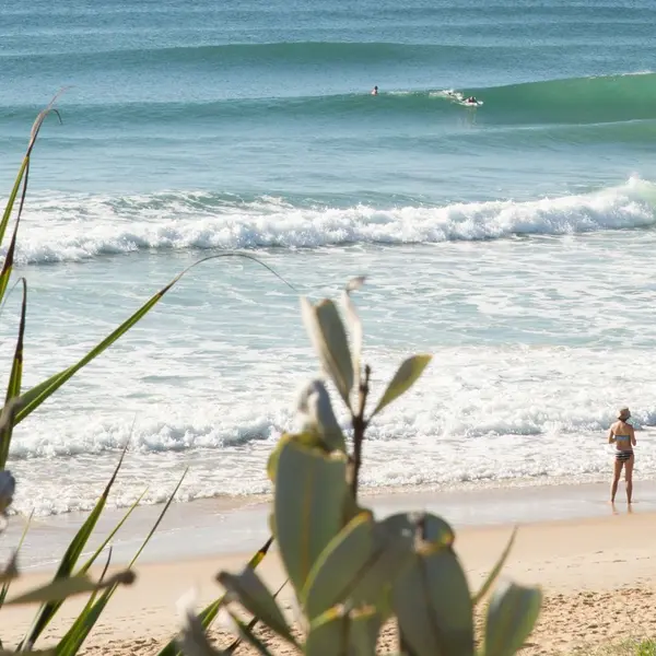 Essence Peregian Beach, Peregian Beach, Sunshine Coast 8