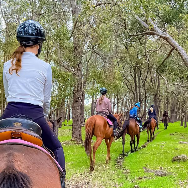 1.5-Hour Adventure Horse Ride with Grazing Platter & Glass of Wine in Jarrahdale 1