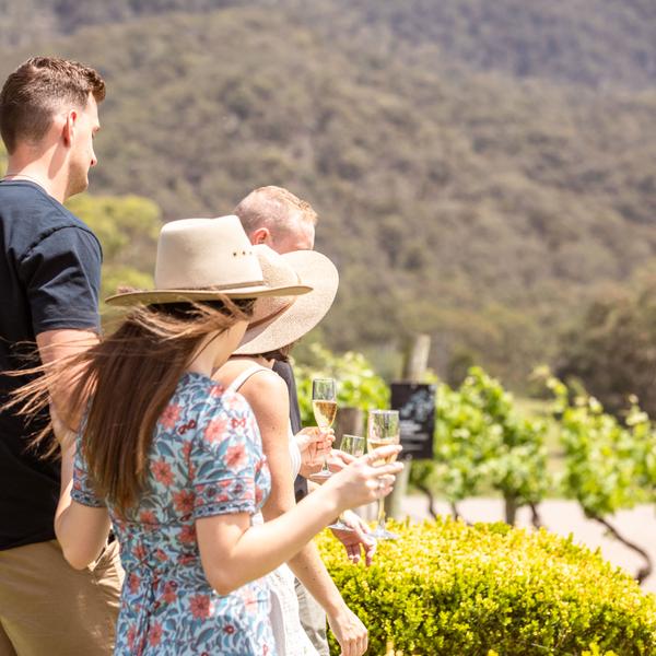 Picnic Among The Vines in Pokolbin with Wine Masterclass & Premium Tasting 8