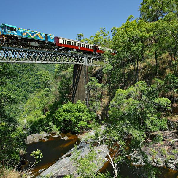 Journey through Heritage-Protected Rainforest with a One-Way Skyrail Ride & Scenic Rail Boarding Pass 2