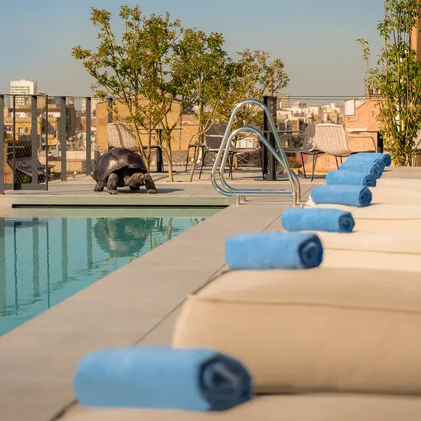 Ohla Eixample, Barcelona, Spain 5