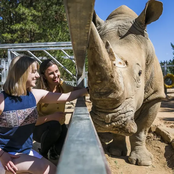 Jamala Wildlife Lodge, Canberra, Australian Capital Territory 6