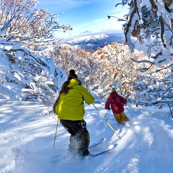 Melbourne: Mount Buller Day Experience in Snowy Victorian Alps with Return Transfers 4
