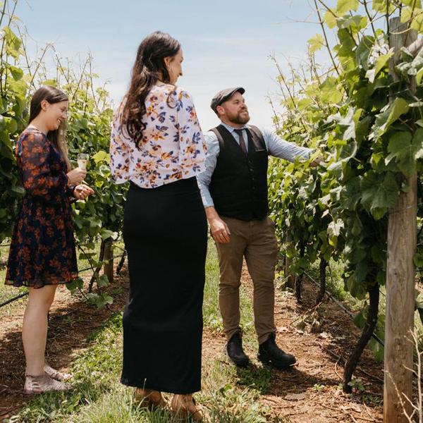 Sparkling Scholar Premium Wine Masterclass by House of Arras 5
