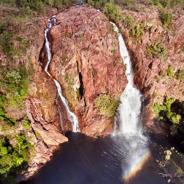 Darwin: Get Wild on an Intimate Litchfield National Park Eco-Tour with Lunch & Roundtrip Transfers 1