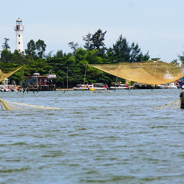 Hoi An: Half-Day Fishing Village Cultural Tour & Vietnamese Basket Boat Ride with Hotel Transfers & Lunch 2