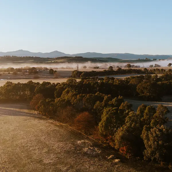 Mansfield Glamping, High Country, Victoria 7
