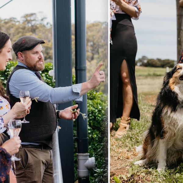 Tasmania: Sparkling Scholar Premium Wine Masterclass by House of Arras 8