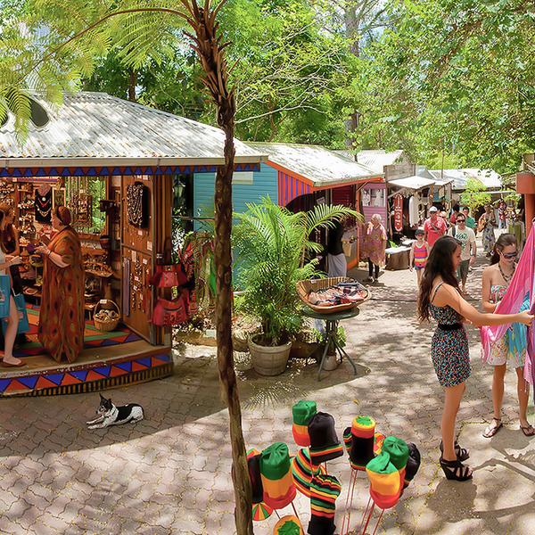 Journey through Heritage-Protected Rainforest with a One-Way Skyrail Ride & Scenic Rail Boarding Pass 5