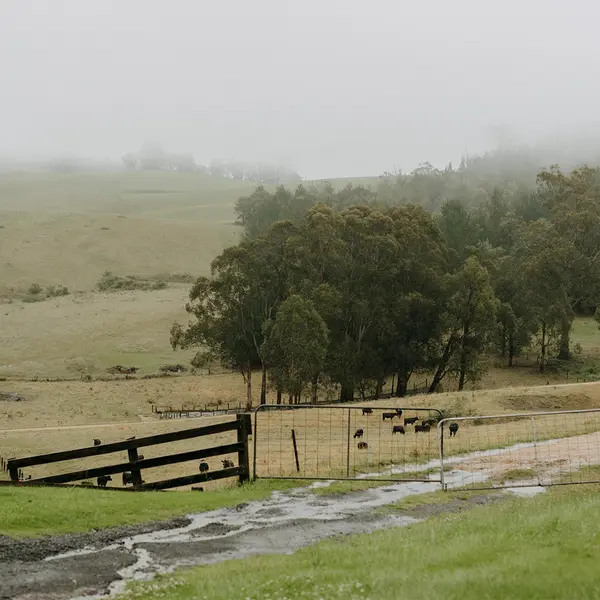 Carrajung Estate , Central Gippsland, Victoria 6