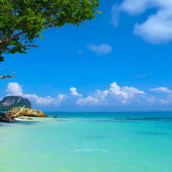 Early Bird Phi Phi Islands Full-Day Cruise with Lunch, Snorkelling & Return Transfers 6