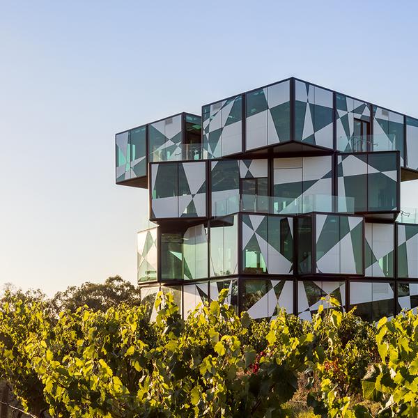 McLaren Vale: Curated Wine & Gin Tastings on a d'Arenberg Distilled Experience with Two-Course Lunch & Dali Art Exhibition Entry 1
