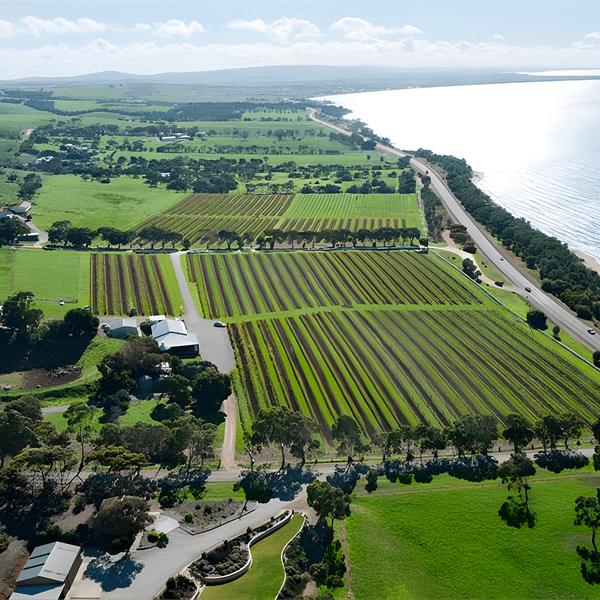 South Australia Gourmet Tour with Oyster Shucking & Wine Tasting by Luxury Escapes Tours 2