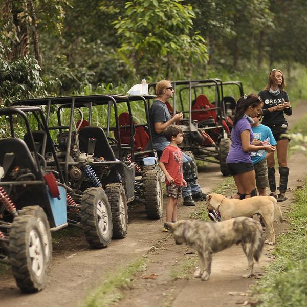 Bali: Full-Day Munduk Village Adventure with Buggy Drive, Waterfall Visit & Picnic Lunch  4