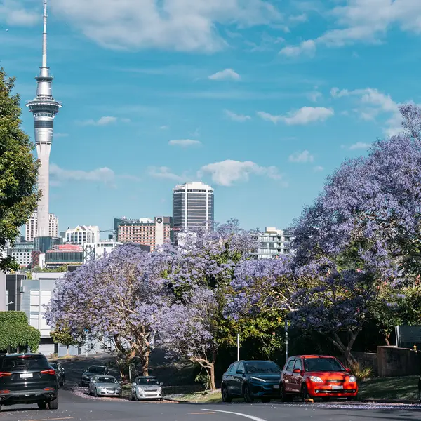 Hotel Grand Chancellor Auckland, Auckland, New Zealand 7