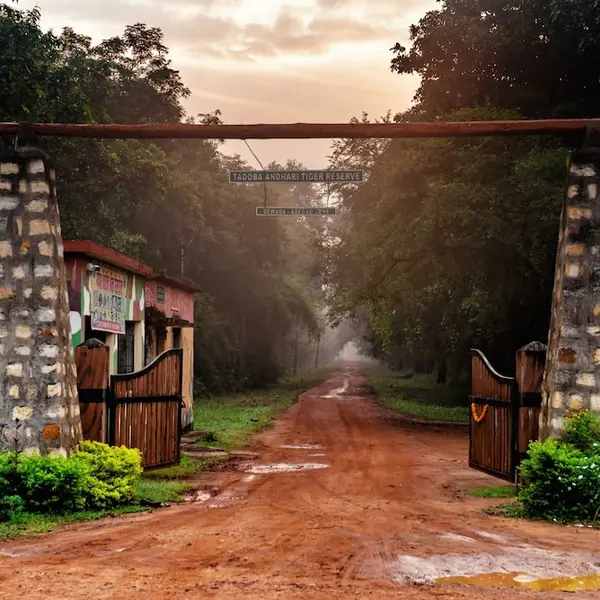 Tadoba Jungle Camp, Bhadravathi, India 8