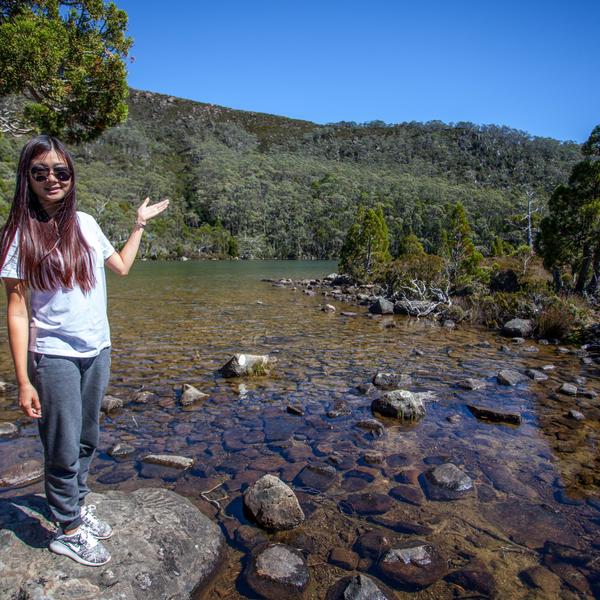 Immerse Yourself in Spectacular Forests on a Full-Day Mount Field National Park Tour with Return Transfers 5