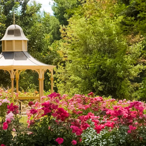 Barossa Valley: Devonshire Tea & Lunch Platter at Barossa Chateau with Glass of Wine & Take-Home Gift 5