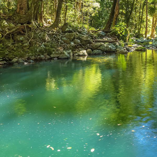 Explore the Gold Coast's Lush Hinterland with a Full-Day Explorer Pass 2