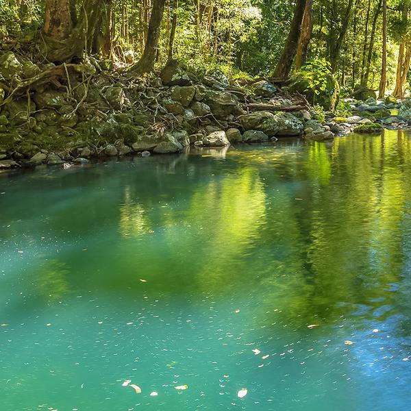 Gold Coast: Explore the Gold Coast's Lush Hinterland with a Full-Day Explorer Pass 2