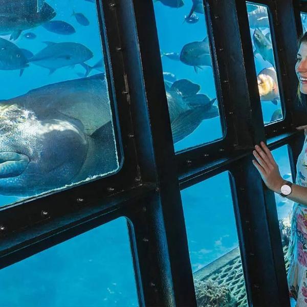 Moore Reef Pontoon Full-Day Tour with Underwater Observatory, Waterslide, Snorkelling & Optional Diving Upgrades 2
