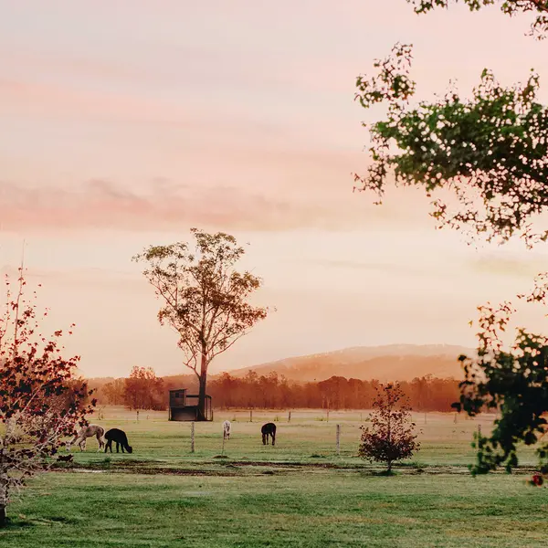 Laurina Estate, Forster, New South Wales 4