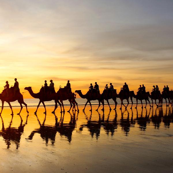 Broome: One-Hour Sunset Camel Tour on Cable Beach 1